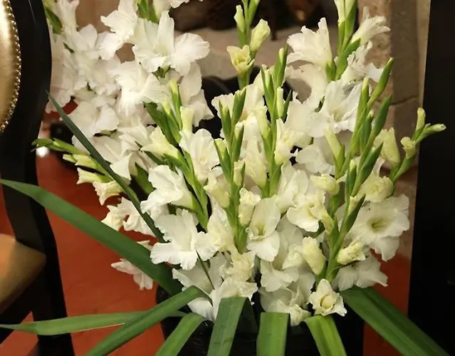 팜스테이 Minho Al 파레드스 드 코라