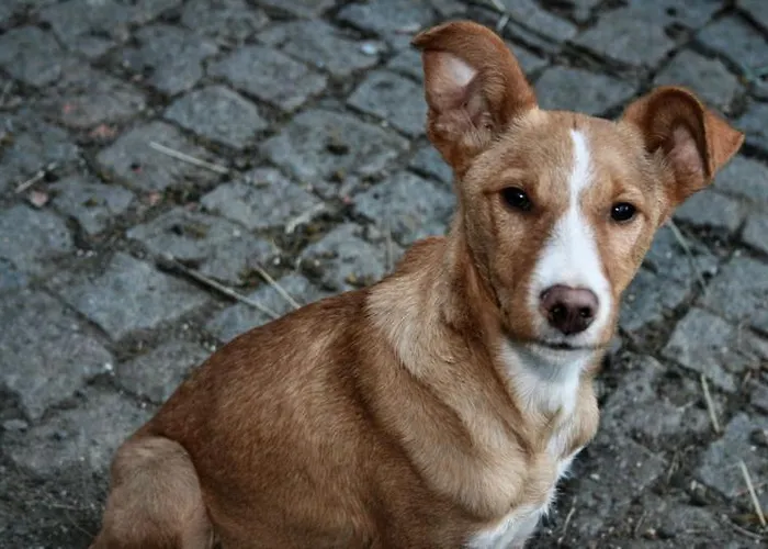 팜스테이 Minho Al *